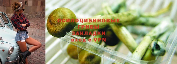 2c-b Белоозёрский