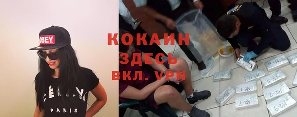 spice Беломорск