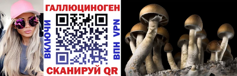 Галлюциногенные грибы Psilocybine cubensis  что такое   hydra рабочий сайт  Маркс 