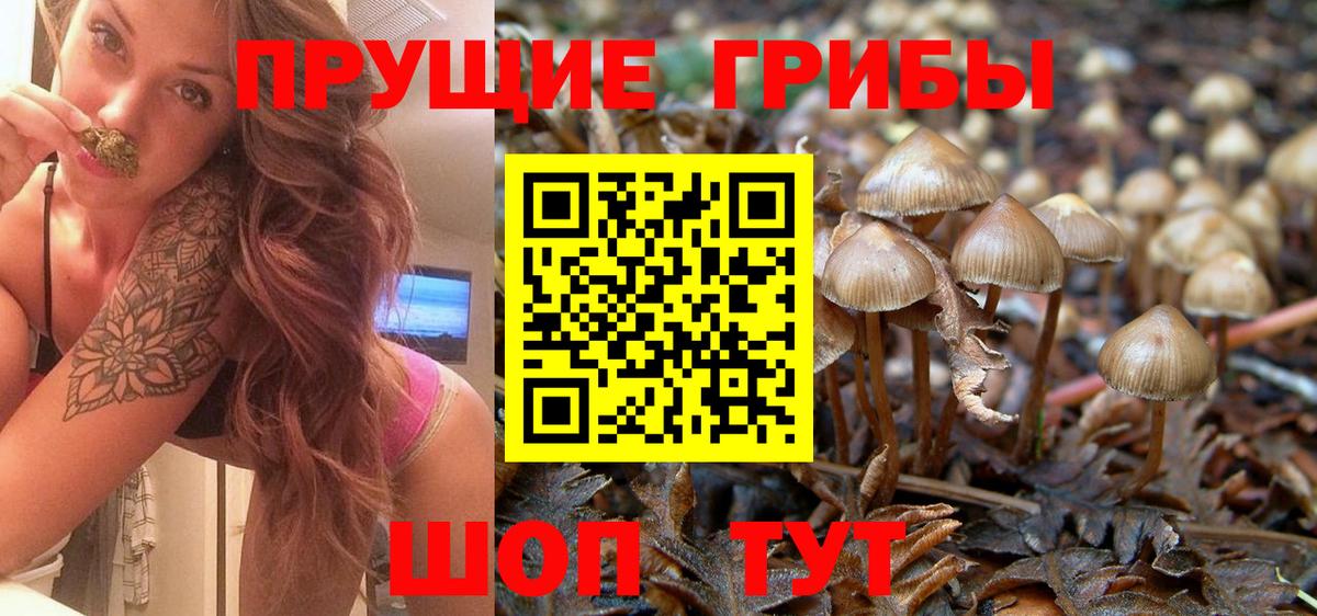 Галлюциногенные грибы ЛСД Маркс