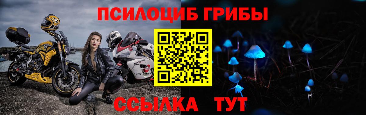 Маркс  Галлюциногенные грибы Psilocybine cubensis  Вход с VPN 